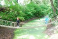 /album/donau-auen-23-9-2014/danau-auent046-jpg/
